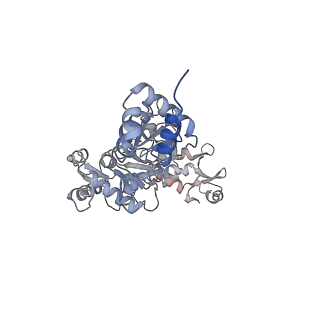 15574_8apl_F_v1-1
Vaccinia virus DNA helicase D5 residues 323-785 hexamer with bound DNA processed in C6