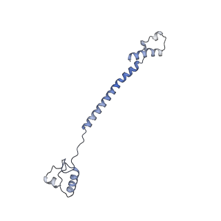 15576_8apn_AJ_v1-2
Structure of the mitochondrial ribosome from Polytomella magna with tRNA bound to the P site