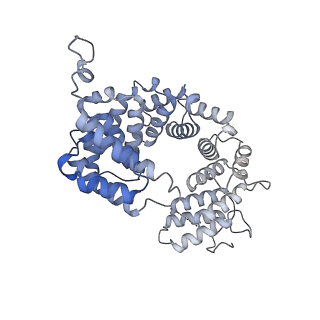 15576_8apn_AL_v1-2
Structure of the mitochondrial ribosome from Polytomella magna with tRNA bound to the P site