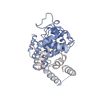 15576_8apn_AO_v1-2
Structure of the mitochondrial ribosome from Polytomella magna with tRNA bound to the P site