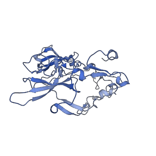 15576_8apn_Aa_v1-2
Structure of the mitochondrial ribosome from Polytomella magna with tRNA bound to the P site