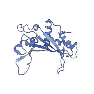 15576_8apn_Ad_v1-2
Structure of the mitochondrial ribosome from Polytomella magna with tRNA bound to the P site