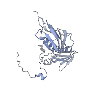 15576_8apn_Ae_v1-2
Structure of the mitochondrial ribosome from Polytomella magna with tRNA bound to the P site