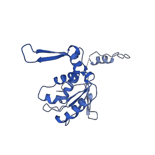 15576_8apn_Ah_v1-2
Structure of the mitochondrial ribosome from Polytomella magna with tRNA bound to the P site