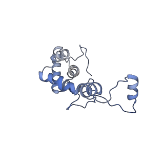 15576_8apn_Al_v1-2
Structure of the mitochondrial ribosome from Polytomella magna with tRNA bound to the P site