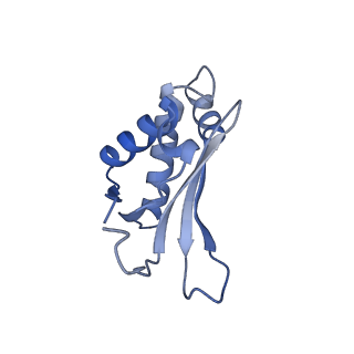 15576_8apn_Am_v1-2
Structure of the mitochondrial ribosome from Polytomella magna with tRNA bound to the P site