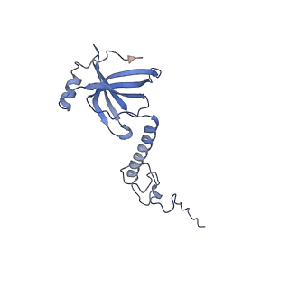 15576_8apn_An_v1-2
Structure of the mitochondrial ribosome from Polytomella magna with tRNA bound to the P site