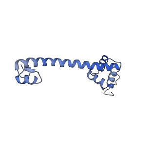 15576_8apn_Ao_v1-2
Structure of the mitochondrial ribosome from Polytomella magna with tRNA bound to the P site