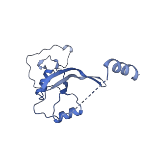 15576_8apn_Ar_v1-2
Structure of the mitochondrial ribosome from Polytomella magna with tRNA bound to the P site