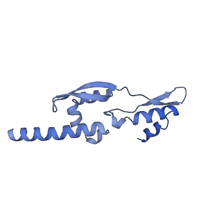 15576_8apn_Av_v1-2
Structure of the mitochondrial ribosome from Polytomella magna with tRNA bound to the P site