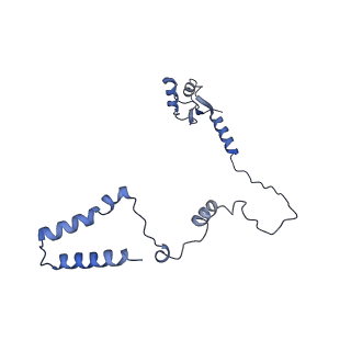 15576_8apn_Ax_v1-2
Structure of the mitochondrial ribosome from Polytomella magna with tRNA bound to the P site
