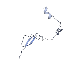 15576_8apn_Ay_v1-2
Structure of the mitochondrial ribosome from Polytomella magna with tRNA bound to the P site