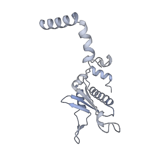 15576_8apn_BA_v1-2
Structure of the mitochondrial ribosome from Polytomella magna with tRNA bound to the P site
