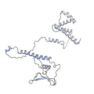 15576_8apn_BC_v1-2
Structure of the mitochondrial ribosome from Polytomella magna with tRNA bound to the P site