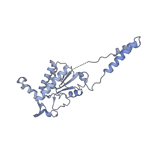 15576_8apn_Bb_v1-2
Structure of the mitochondrial ribosome from Polytomella magna with tRNA bound to the P site