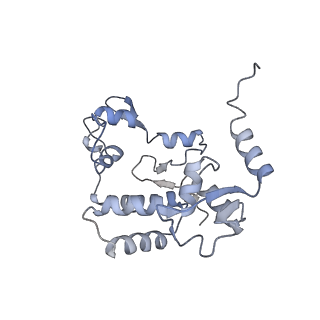 15576_8apn_Bd_v1-2
Structure of the mitochondrial ribosome from Polytomella magna with tRNA bound to the P site