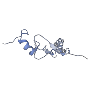 15576_8apn_Bn_v1-2
Structure of the mitochondrial ribosome from Polytomella magna with tRNA bound to the P site