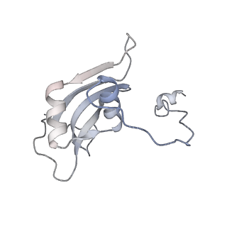 15576_8apn_Bp_v1-2
Structure of the mitochondrial ribosome from Polytomella magna with tRNA bound to the P site