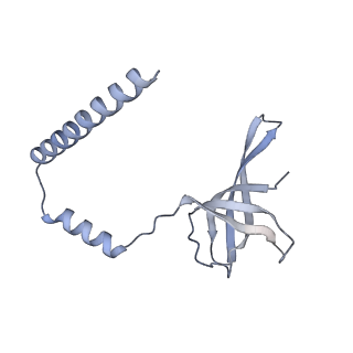 15576_8apn_Bq_v1-2
Structure of the mitochondrial ribosome from Polytomella magna with tRNA bound to the P site