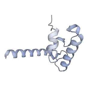 15576_8apn_Br_v1-2
Structure of the mitochondrial ribosome from Polytomella magna with tRNA bound to the P site