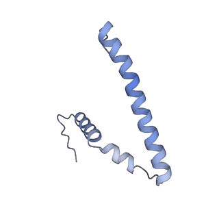 15576_8apn_Bt_v1-2
Structure of the mitochondrial ribosome from Polytomella magna with tRNA bound to the P site