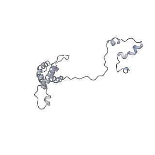15576_8apn_Bu_v1-2
Structure of the mitochondrial ribosome from Polytomella magna with tRNA bound to the P site