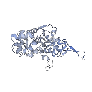 15576_8apn_Bw_v1-2
Structure of the mitochondrial ribosome from Polytomella magna with tRNA bound to the P site