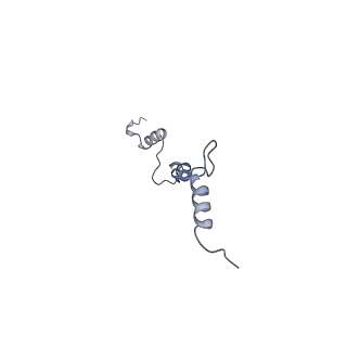 15576_8apn_By_v1-2
Structure of the mitochondrial ribosome from Polytomella magna with tRNA bound to the P site