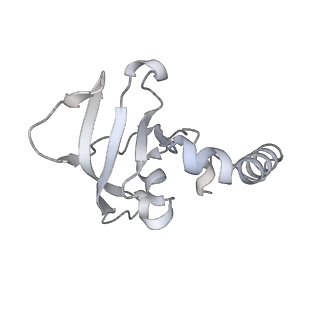 15576_8apn_Bz_v1-2
Structure of the mitochondrial ribosome from Polytomella magna with tRNA bound to the P site