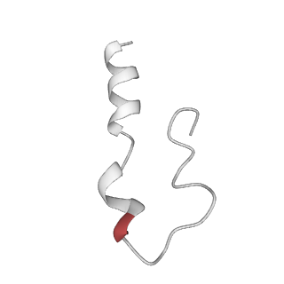 15576_8apn_Ua_v1-2
Structure of the mitochondrial ribosome from Polytomella magna with tRNA bound to the P site
