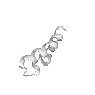 15576_8apn_Ue_v1-2
Structure of the mitochondrial ribosome from Polytomella magna with tRNA bound to the P site