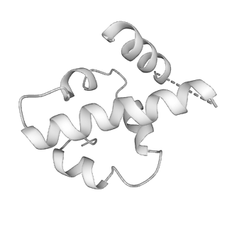 15576_8apn_Uf_v1-2
Structure of the mitochondrial ribosome from Polytomella magna with tRNA bound to the P site