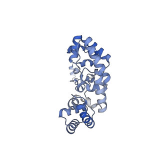15576_8apn_Xb_v1-2
Structure of the mitochondrial ribosome from Polytomella magna with tRNA bound to the P site