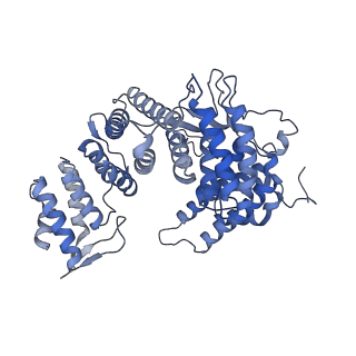 15576_8apn_Xe_v1-2
Structure of the mitochondrial ribosome from Polytomella magna with tRNA bound to the P site