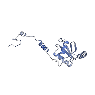 15576_8apn_Xh_v1-2
Structure of the mitochondrial ribosome from Polytomella magna with tRNA bound to the P site