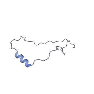 15576_8apn_Xj_v1-2
Structure of the mitochondrial ribosome from Polytomella magna with tRNA bound to the P site