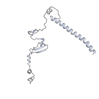 15576_8apn_Ya_v1-2
Structure of the mitochondrial ribosome from Polytomella magna with tRNA bound to the P site