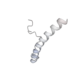 15576_8apn_Yb_v1-2
Structure of the mitochondrial ribosome from Polytomella magna with tRNA bound to the P site