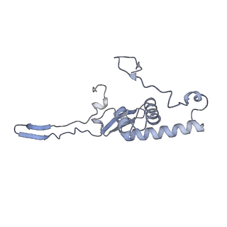 15576_8apn_Yc_v1-2
Structure of the mitochondrial ribosome from Polytomella magna with tRNA bound to the P site