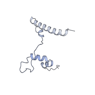 15576_8apn_Yd_v1-2
Structure of the mitochondrial ribosome from Polytomella magna with tRNA bound to the P site