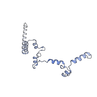 15576_8apn_Yf_v1-2
Structure of the mitochondrial ribosome from Polytomella magna with tRNA bound to the P site
