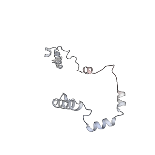 15576_8apn_Yi_v1-2
Structure of the mitochondrial ribosome from Polytomella magna with tRNA bound to the P site