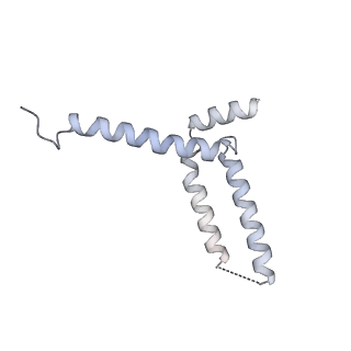 15576_8apn_Yk_v1-2
Structure of the mitochondrial ribosome from Polytomella magna with tRNA bound to the P site