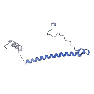 15577_8apo_AE_v2-0
Structure of the mitochondrial ribosome from Polytomella magna with tRNAs bound to the A and P sites