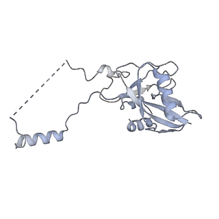 15577_8apo_AH_v1-1
Structure of the mitochondrial ribosome from Polytomella magna with tRNAs bound to the A and P sites