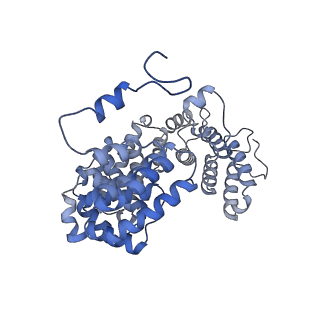 15577_8apo_AN_v1-1
Structure of the mitochondrial ribosome from Polytomella magna with tRNAs bound to the A and P sites