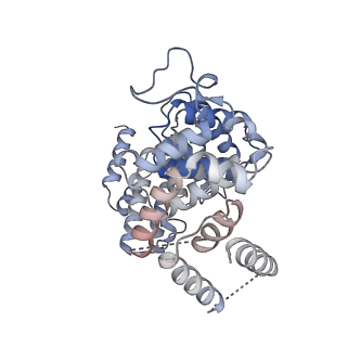 15577_8apo_AO_v1-1
Structure of the mitochondrial ribosome from Polytomella magna with tRNAs bound to the A and P sites