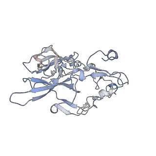 15577_8apo_Aa_v1-1
Structure of the mitochondrial ribosome from Polytomella magna with tRNAs bound to the A and P sites