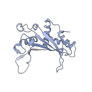 15577_8apo_Ad_v1-1
Structure of the mitochondrial ribosome from Polytomella magna with tRNAs bound to the A and P sites