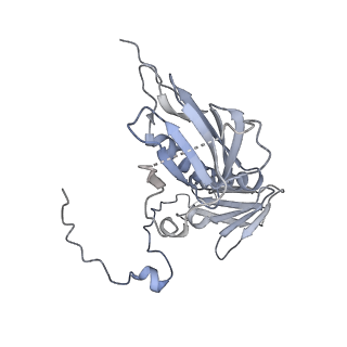 15577_8apo_Ae_v1-1
Structure of the mitochondrial ribosome from Polytomella magna with tRNAs bound to the A and P sites
